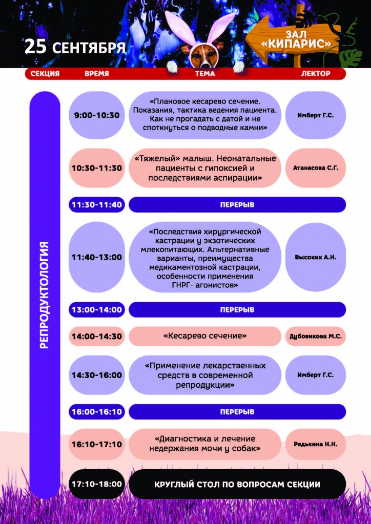 программа итог новая_Страница_13.jpg