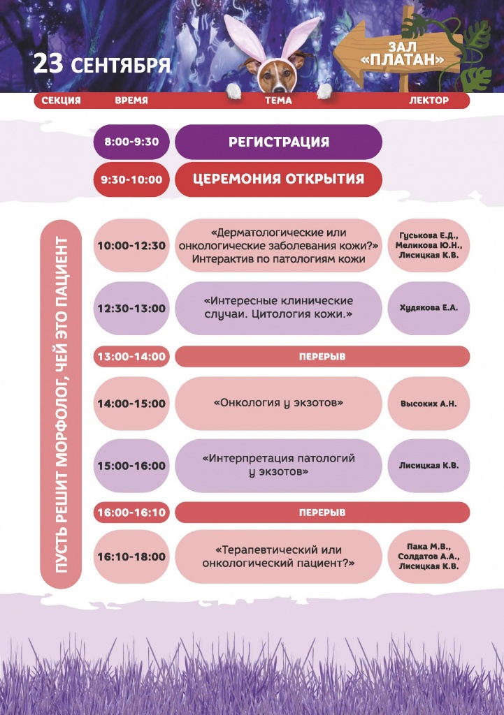 программа итог новая_Страница_02.jpg