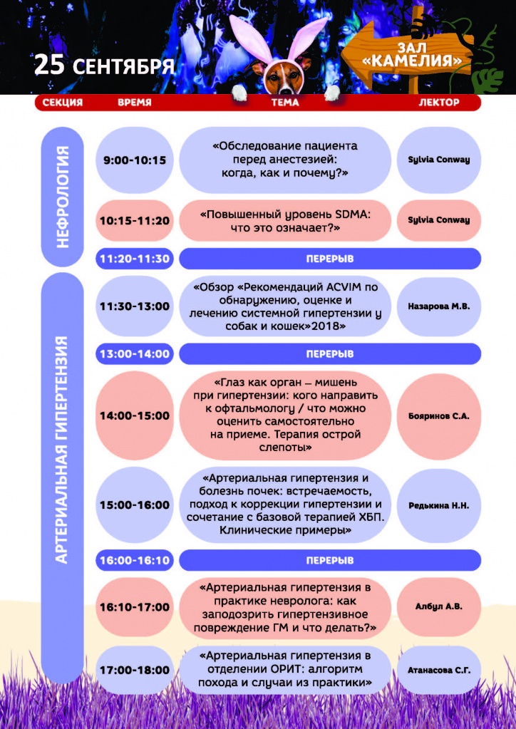 программа итог новая_Страница_11.jpg