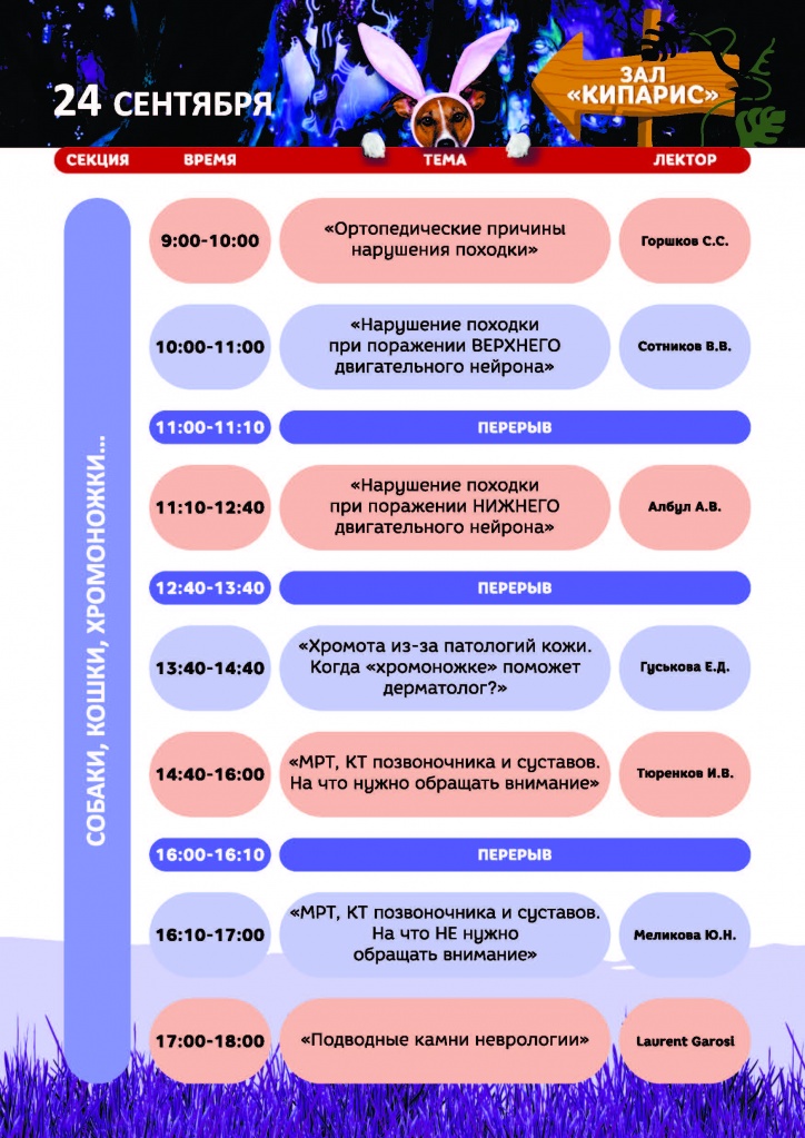 программа итог новая_Страница_09.jpg