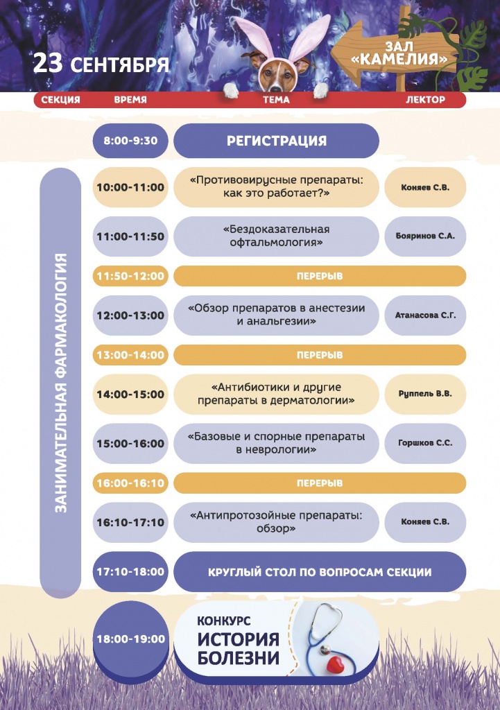 программа итог новая_Страница_03.jpg